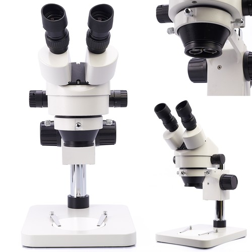 Microscopio stereoscopico - microscopio,