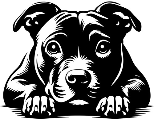 Adesivo staffordshire - adesivo,