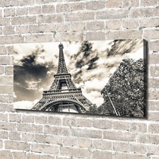 Tulup Dipinto Su Tela Pittura
