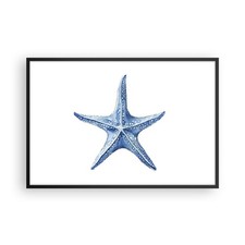 Poster 91x61cm Stella Marina