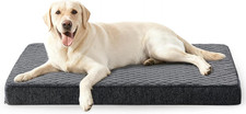 Cuccia cane interno taglia - cane,