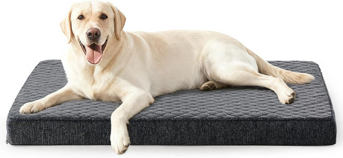 Cuccia cane interno taglia - cuccia,