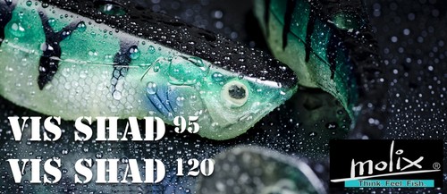 Artificiali molix vis shad - artificiali,