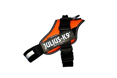 Julius 9 pettorina - julius,