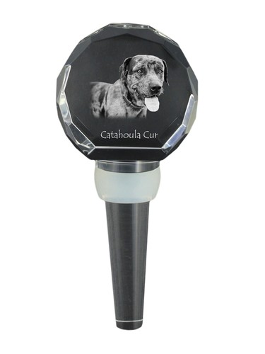 Catahoula leopard dog - catahoula,