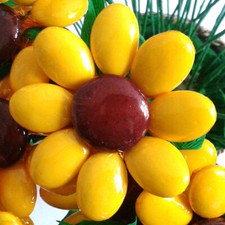 Ovidio Confetti Sulmona -