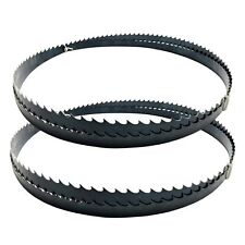 Confezione 2 Lame per Seghetto