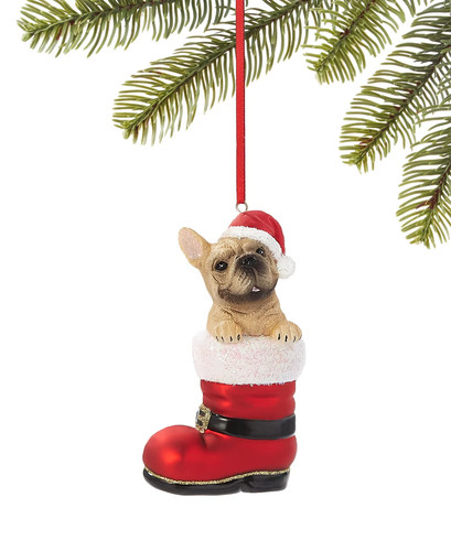 Bulldog francese stivale di - francese,