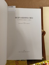 Bernardino Mei e la pittura