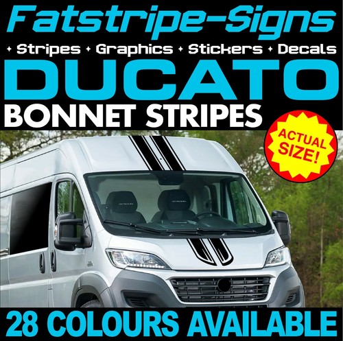Adatto fiat ducato - a,