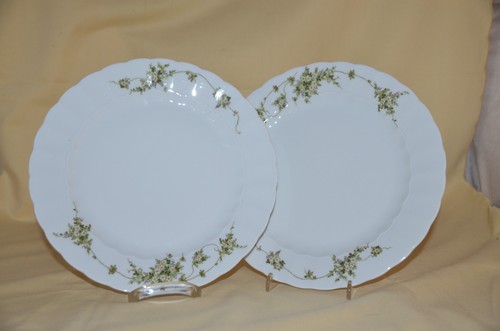 Porcellana eschenbach serie - porcellana,