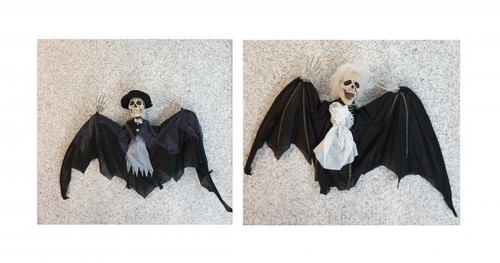 Scheletro teschio halloween - scheletro,