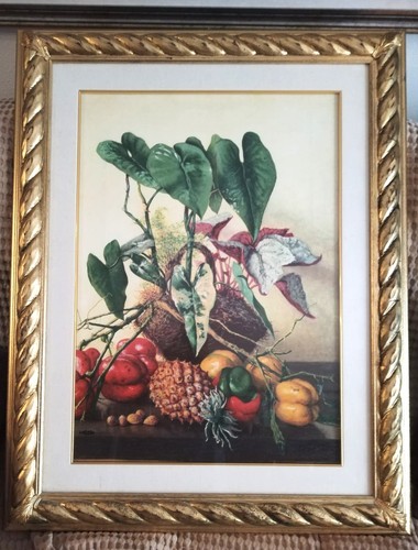 Piante frutta giovan - e,