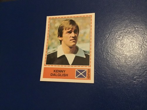 Panini europa - europa, 🇮🇹
