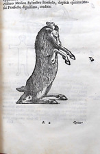 Marmora Felsinea innumeris non