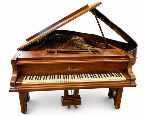 Bluthner jubiläum 190cm grand - jubiläum,