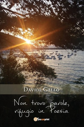Gallo non trovo parole - gallo,
