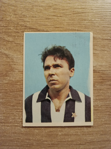 1966 imperia calciatori - 1966-67,