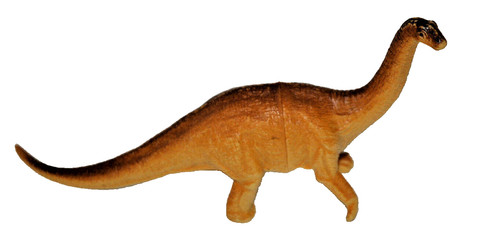Apatosaurus dinosauro in - apatosaurus,