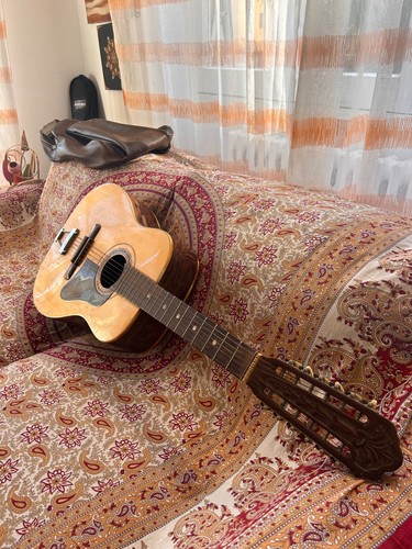 Chitarra giorgio - “di, giorgio”