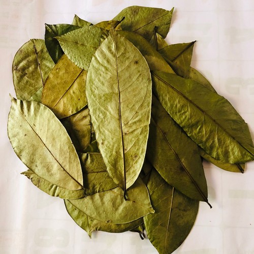 Soursop leave for tea - leave,