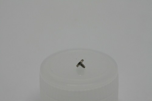 Rolex originale vite calibro - originale,
