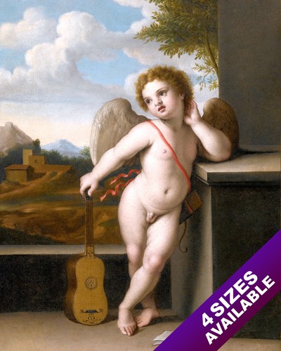 Baby putto cherubino - putto, angelo