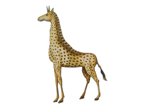 Giraffa stampata spilla - giraffa,