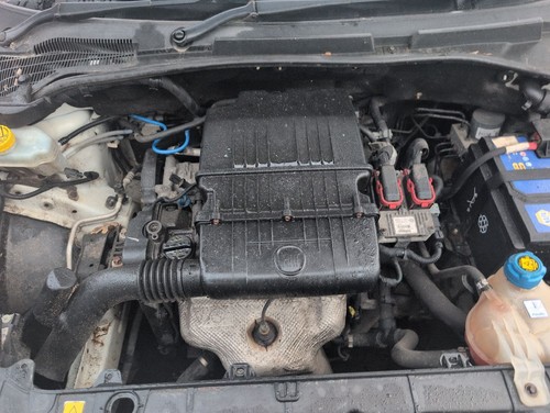 Motore fiat punto - motore, evo