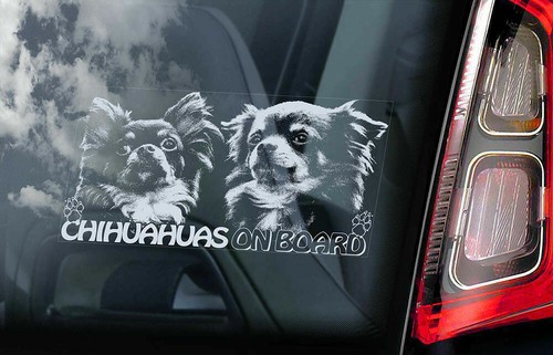 Adesivo auto chihuahua cane - adesivo,