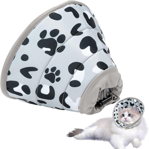 Collare elisabettiano gatto - collare,