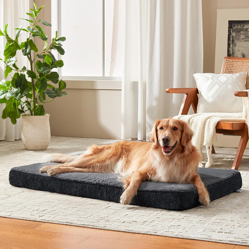 Cuccia cane interno taglia - interno,