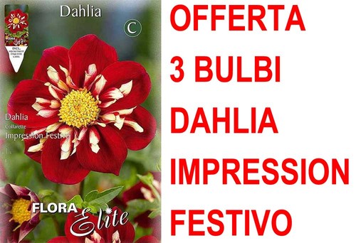 Offerta bulbi primaverili - 3,