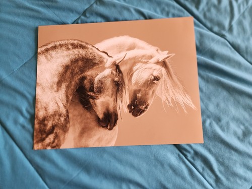 Stampa fotografica due - fotografica,