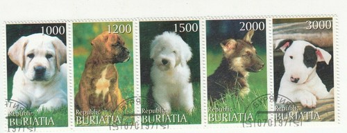 Buriatia striscia 5 - buriatia;, di