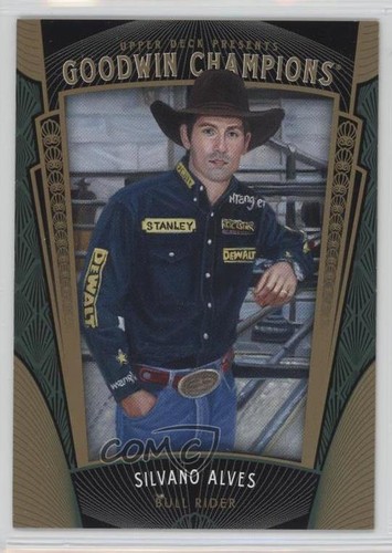 Upper deck 2015 goodwin - deck,