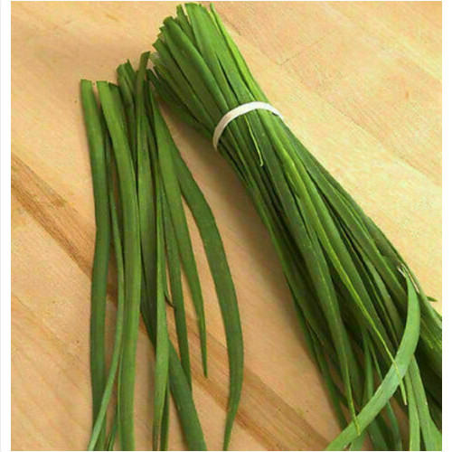 Allium tuberosum aglio - allium,