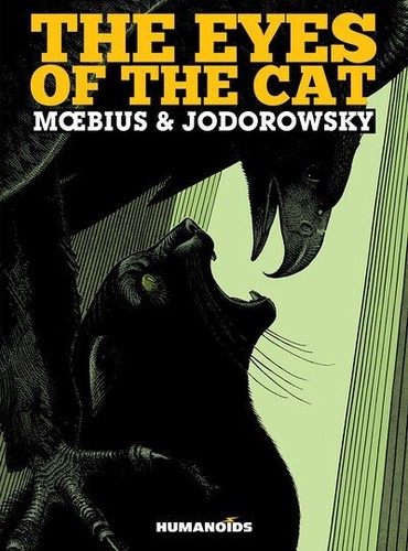 The eyes cat - eyes, of