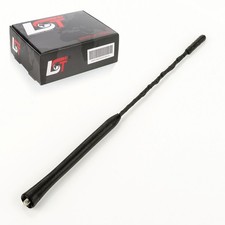 Antenna bacchetta - a,