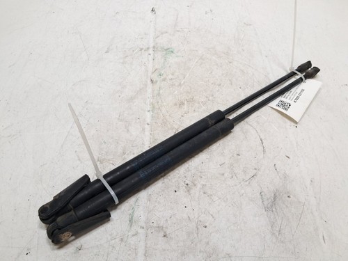4519880004 pistoncini - 4519880004,