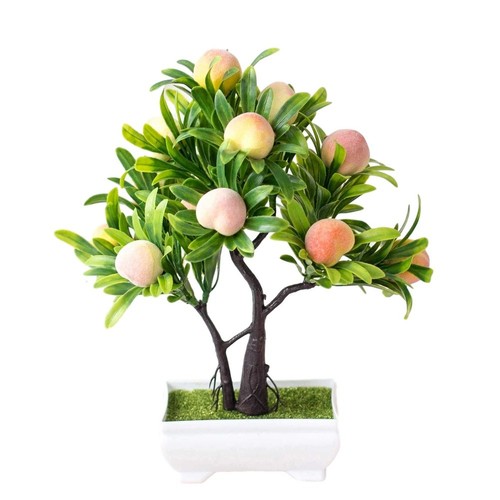 Bonsai albero pesco - di, di