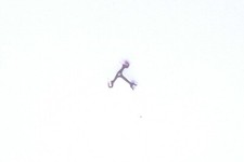 AS 1920 part 710 Ancre Pallet fork Anker Ancora NOS