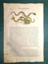 MATTIOLI MATTHIOLI Erbario a