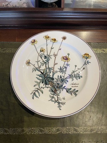 Piatto piano villeroy boch - piano, &