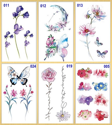 Set fogli farfalla luna - farfalla,