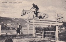 CARTOLINA DI TORINO ,PINEROLO SALTO CAVALLO VISSUTO  non viaggiata