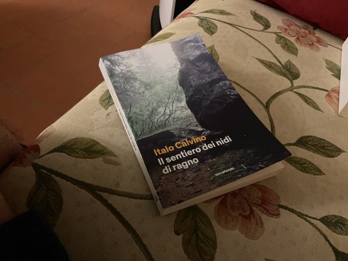 Sentiero dei nidi ragno - il,