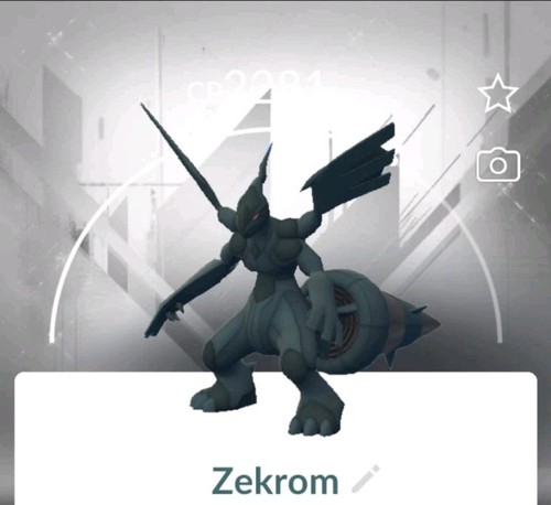 Pokèmon zekrom con - zekrom, sfondo