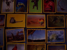 Figurine Panini National