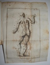 ANATOMIA - fig. 1746 - Winslow